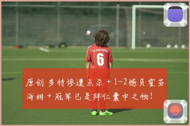 原创 多特惨遭点杀＋1-2憾负霍芬海姆＋冠军已是拜仁囊中之物！