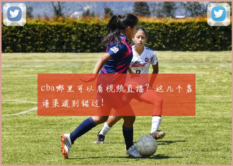 cba哪里可以看视频直播？这几个靠谱渠道别错过！