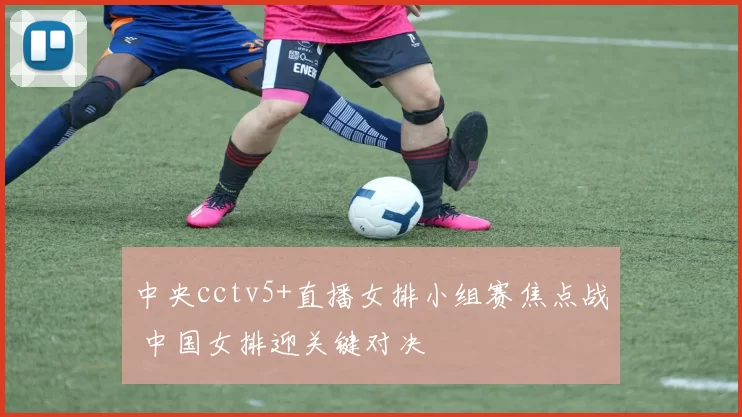 中央cctv5+直播女排小组赛焦点战 中国女排迎关键对决