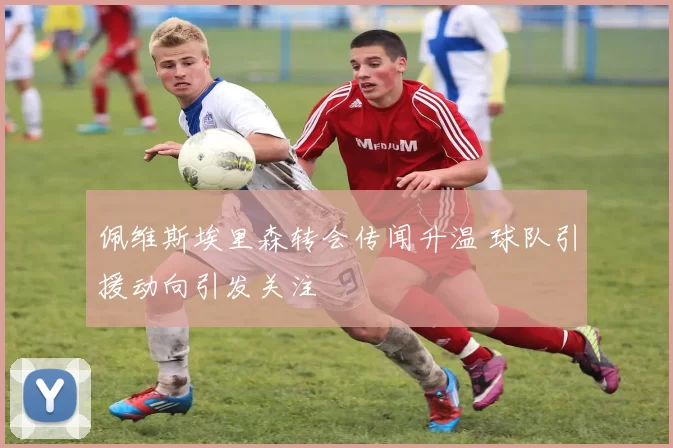 佩维斯埃里森转会传闻升温 球队引援动向引发关注